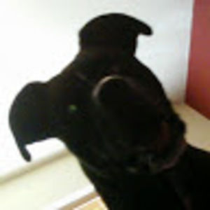 Meet your Posher, Kas